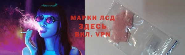мяу мяу мука Алексин