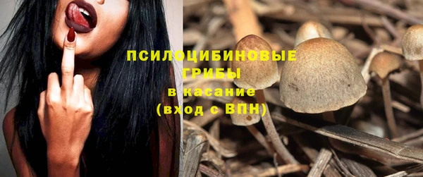 круглые Осинники