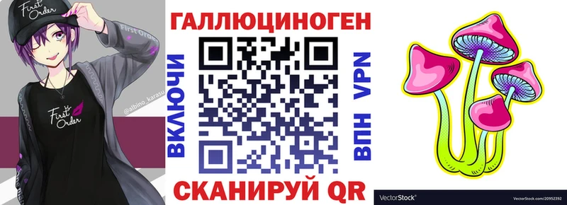 наркота  Алексин  Псилоцибиновые грибы Psilocybine cubensis 